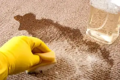 Carpet Stain Removal